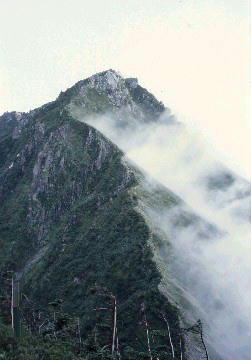 img0007.jpg