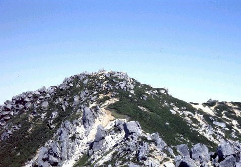 img0011.jpg