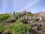 img0005.jpg