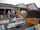 img0015.jpg