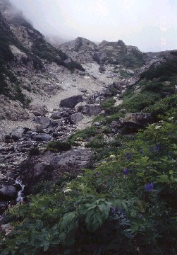 img0001.jpg
