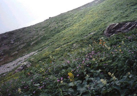 img0005.jpg