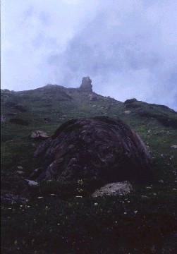 img0008.jpg