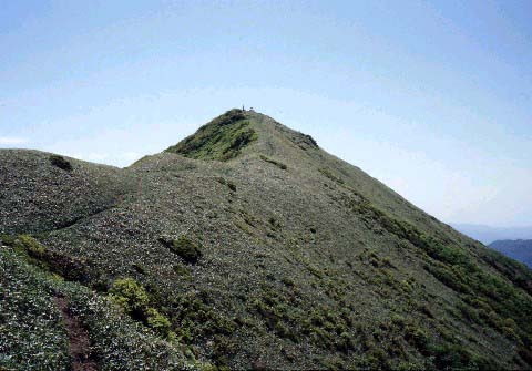 img0003.jpg