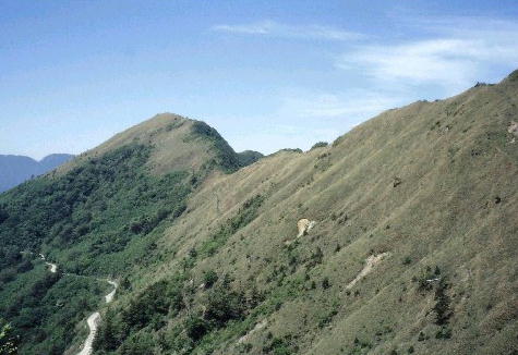 img0004.jpg