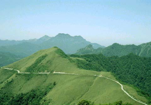 img0006.jpg