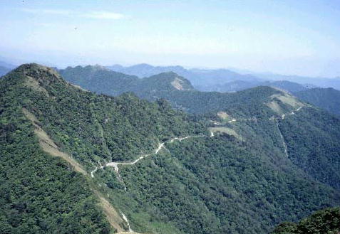 img0008.jpg