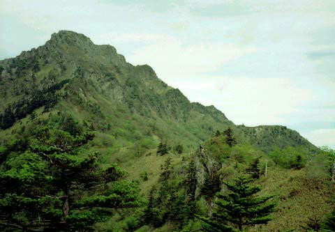 img0012.jpg