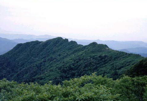 img0019.jpg