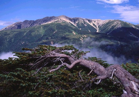 img0002.jpg