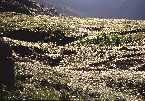 img0004.jpg