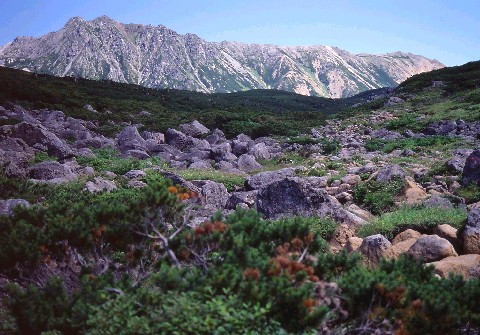 img0007.jpg