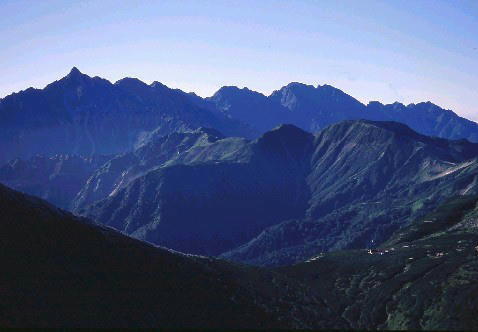 img0012.jpg