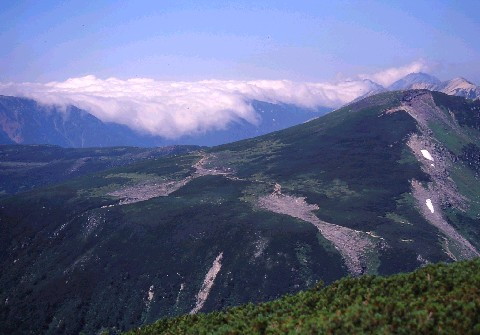 img0018.jpg