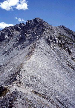 img0005.jpg