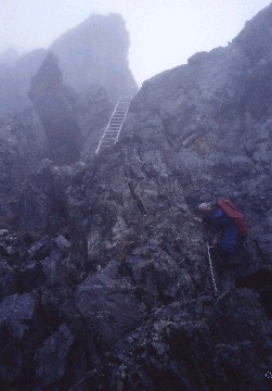 img0009.jpg
