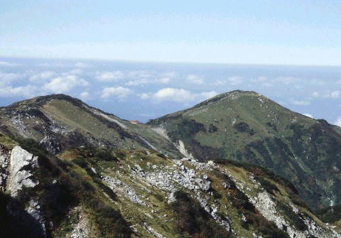 img0016.jpg