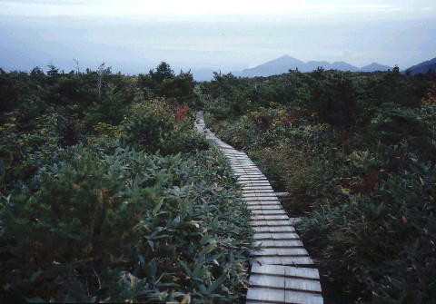 img0019.jpg